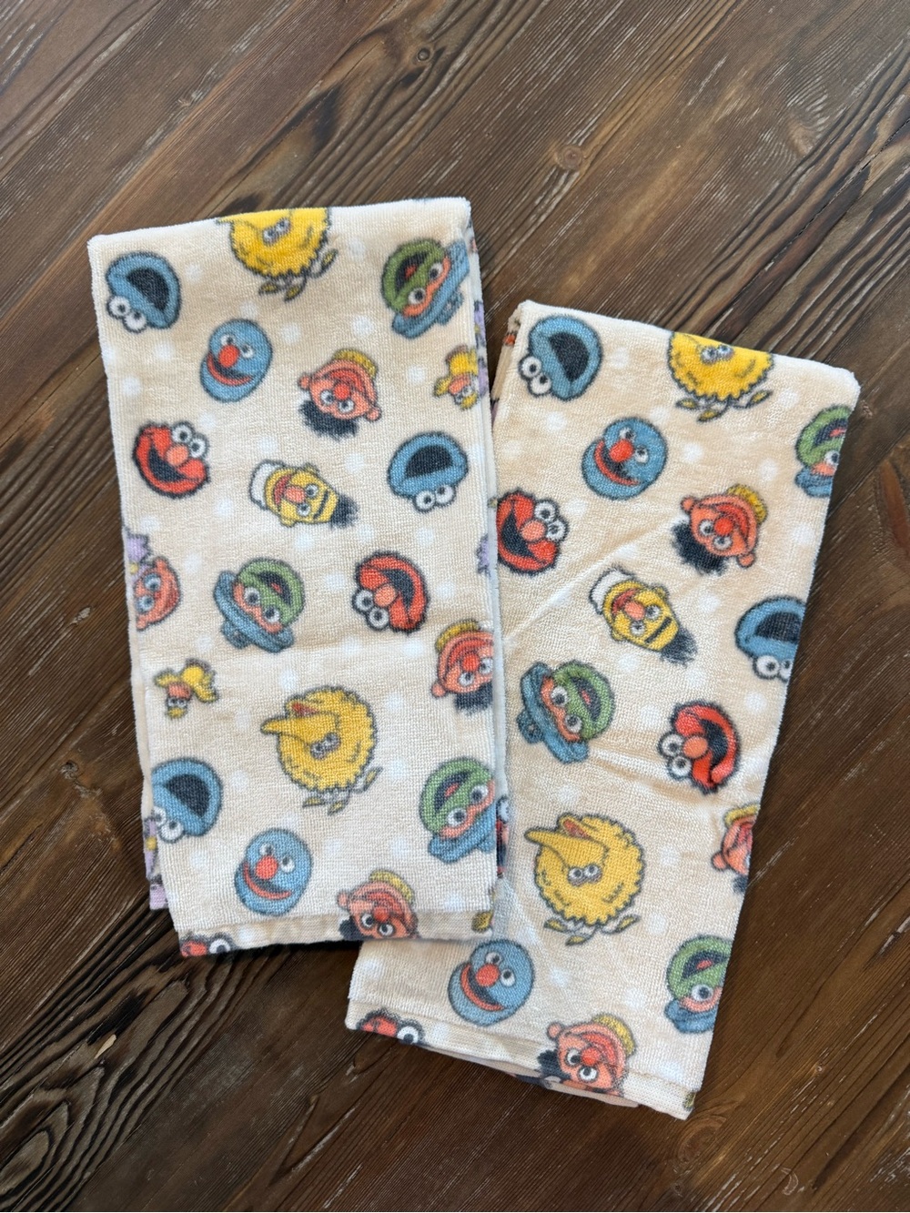 Sesame Street Dish Towel/Hand Towel